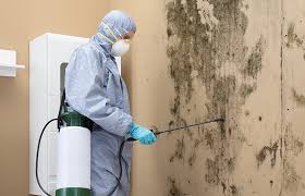 Mold Removal for HVAC Installations in East San Gabriel, CA